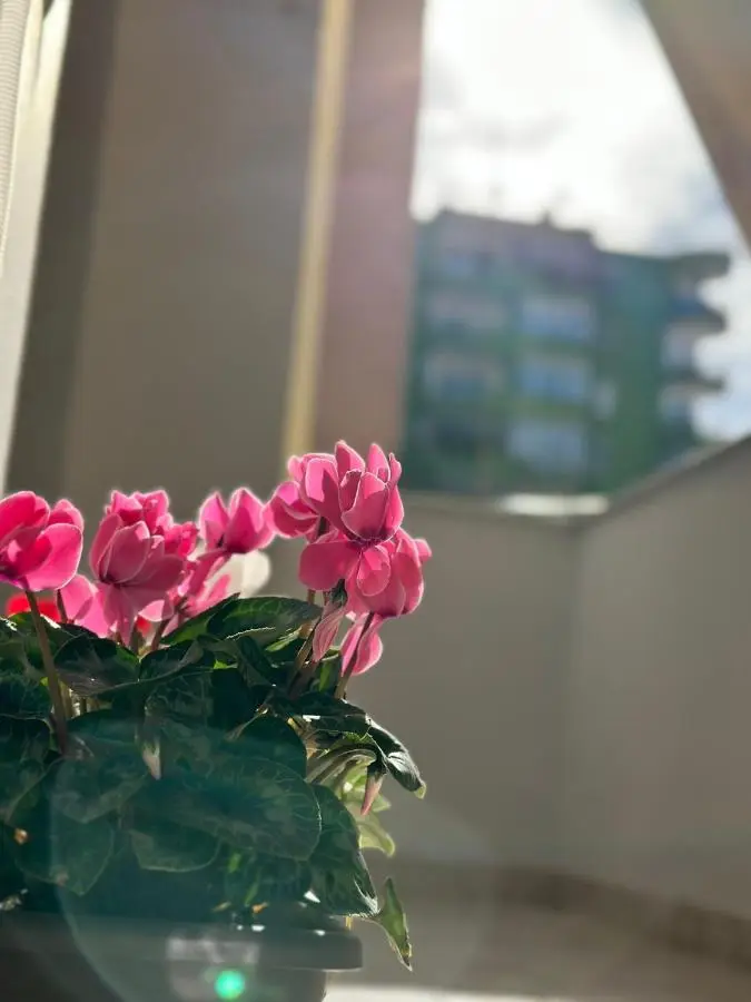 Nunu's Central Apartment
