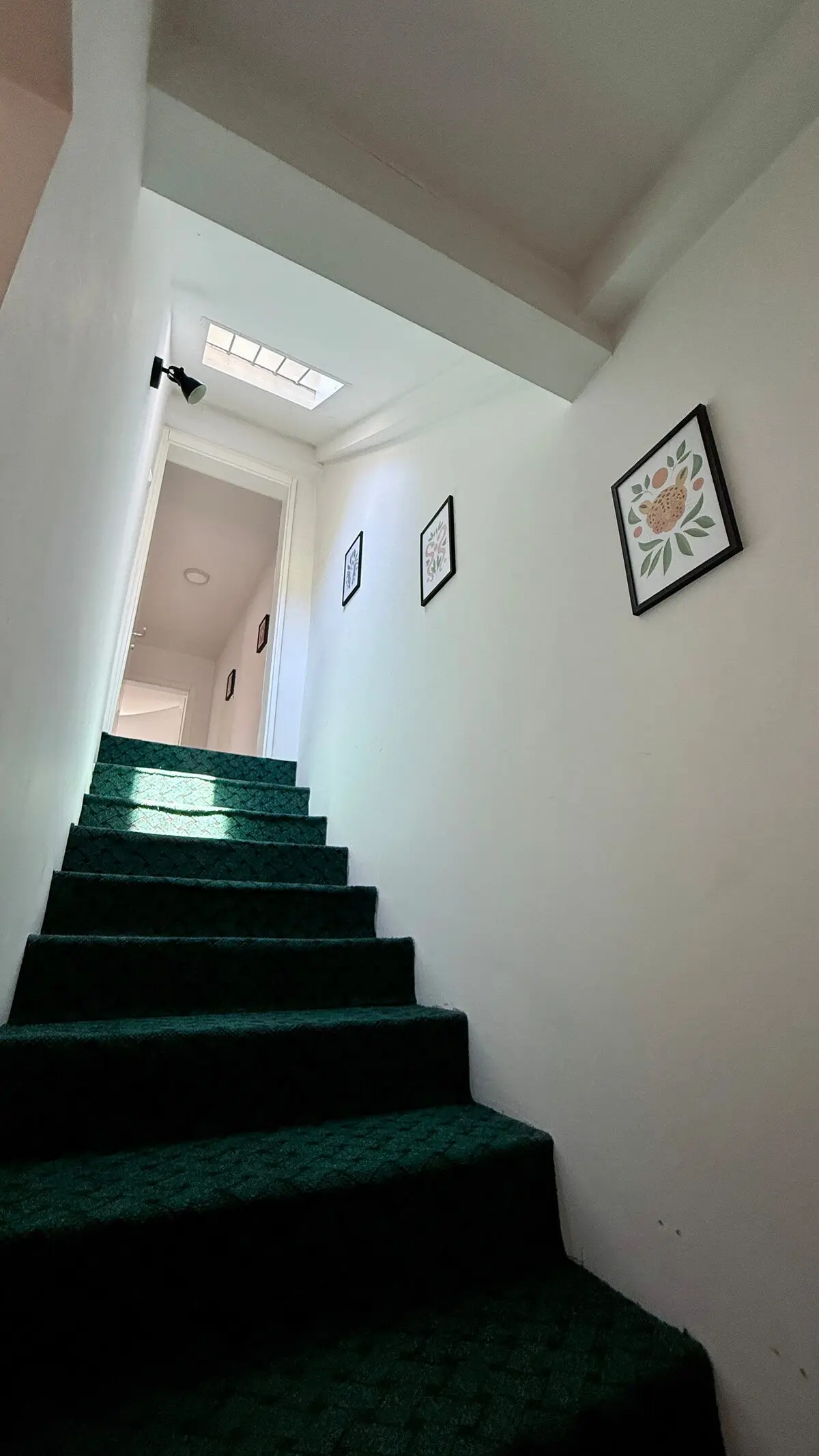 Rabija&Avdo’s House / Near everywhere in a sec.