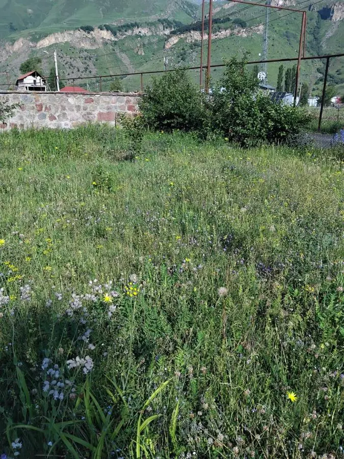 Cottage MTIS DZIRSHI
