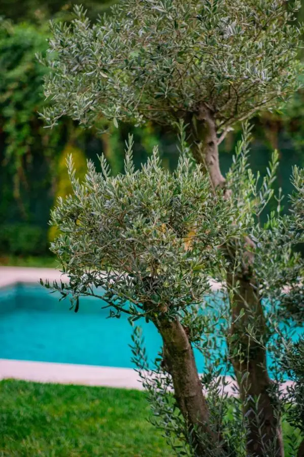 Deep Luxury Sapanca