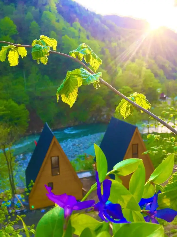 A villa in nature