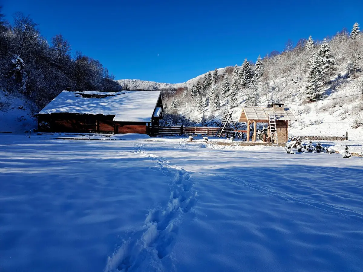 Mystery lodge