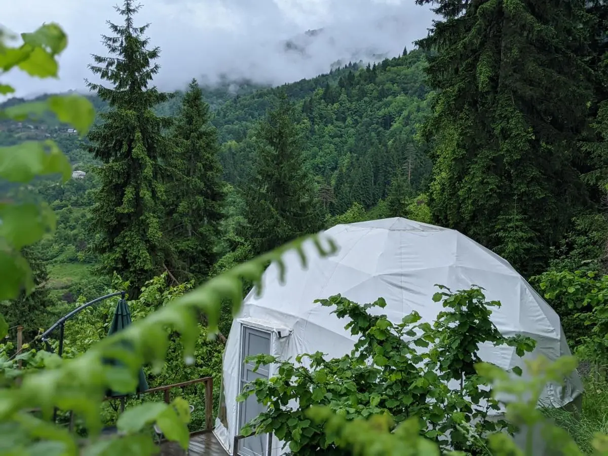 Ajara Glamping Kokotauri