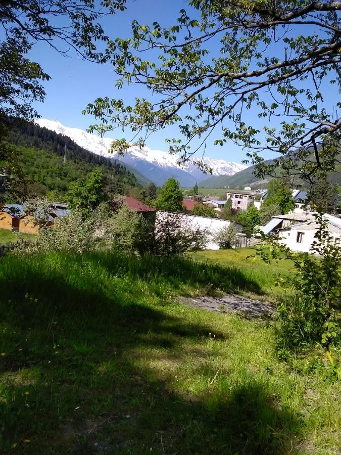 Gogi Jafaridze's Guesthouse