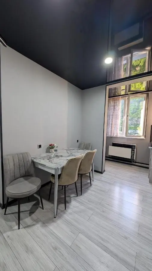 Gari's apartment next to Borjomi Central Park