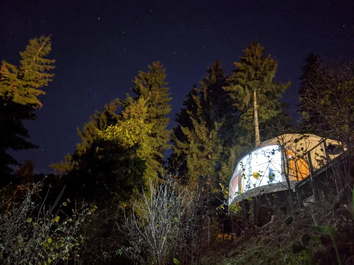 Ajara Glamping Kokotauri