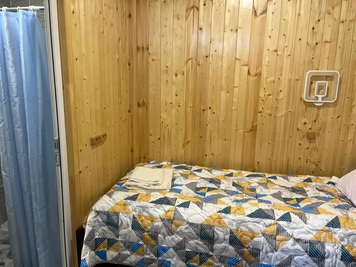 Wooden house