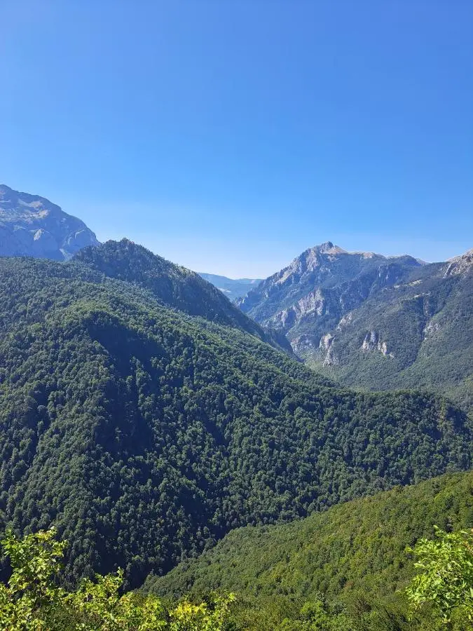 Ris kuca za odmor
