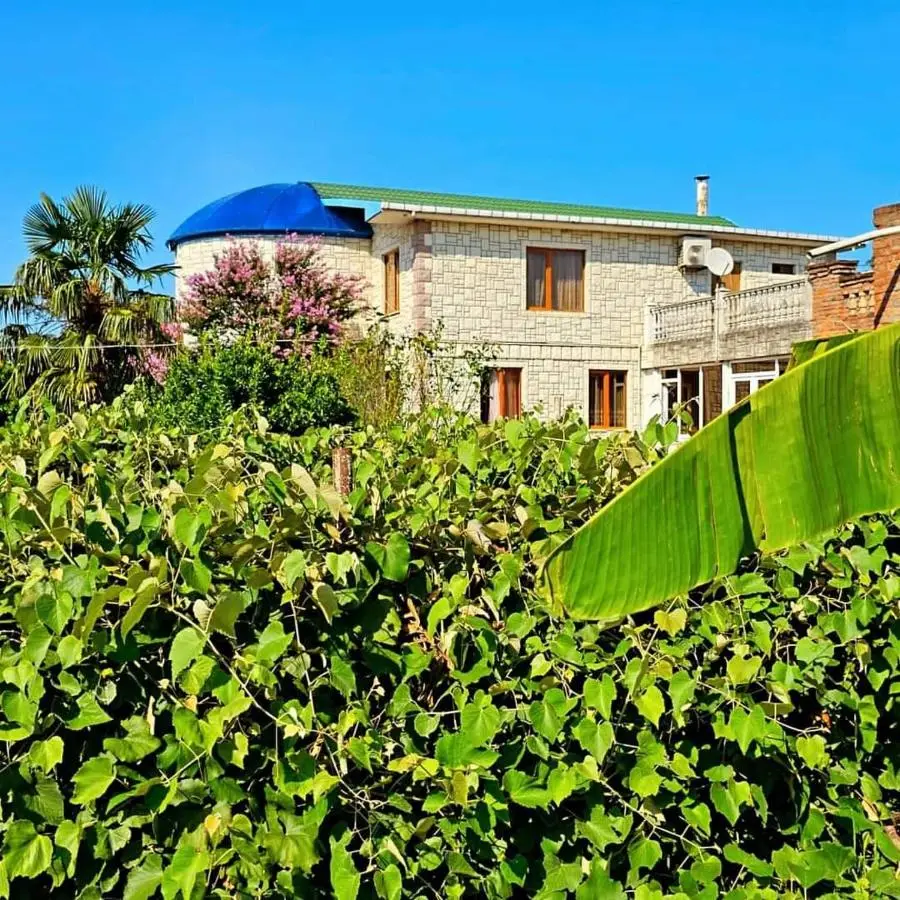 Blue Guest House
