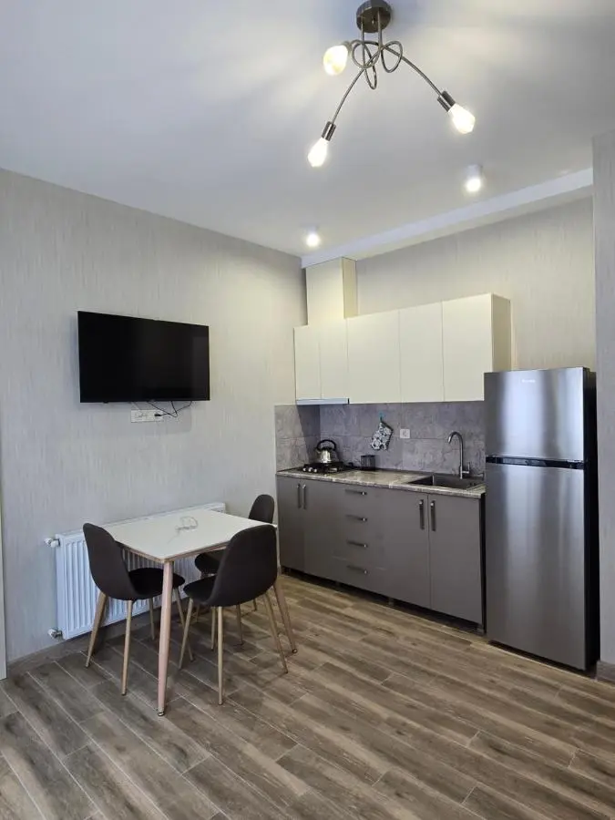 Bakuriani apartment 101 Tsakadze 20