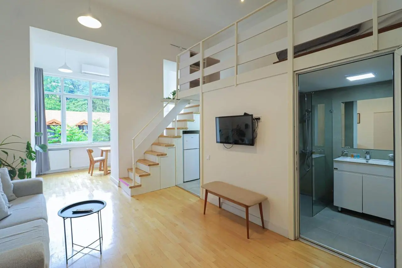 Stylish Apartment on Rustaveli Avenue