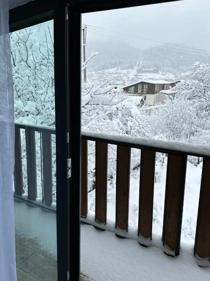 Mount Cottages Bakuriani