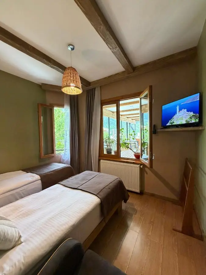 Hotel Borjomi Verde