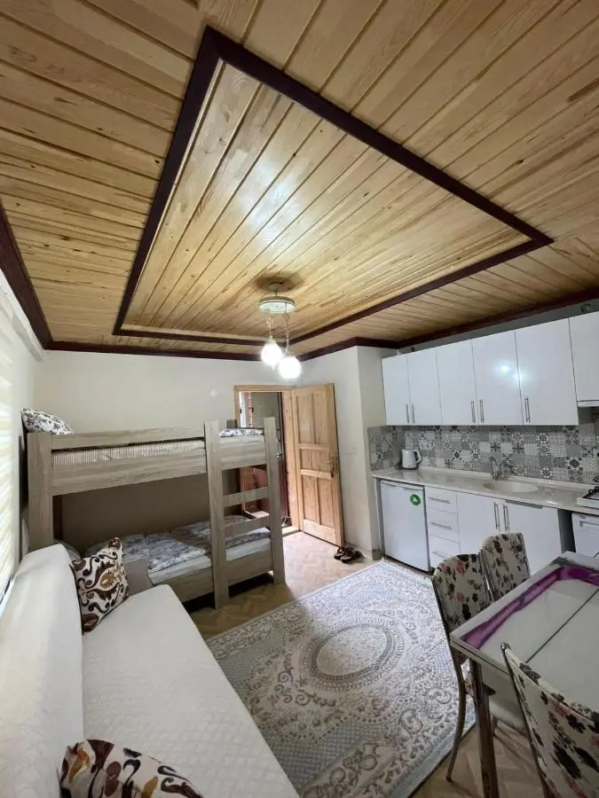 Özgür Apart