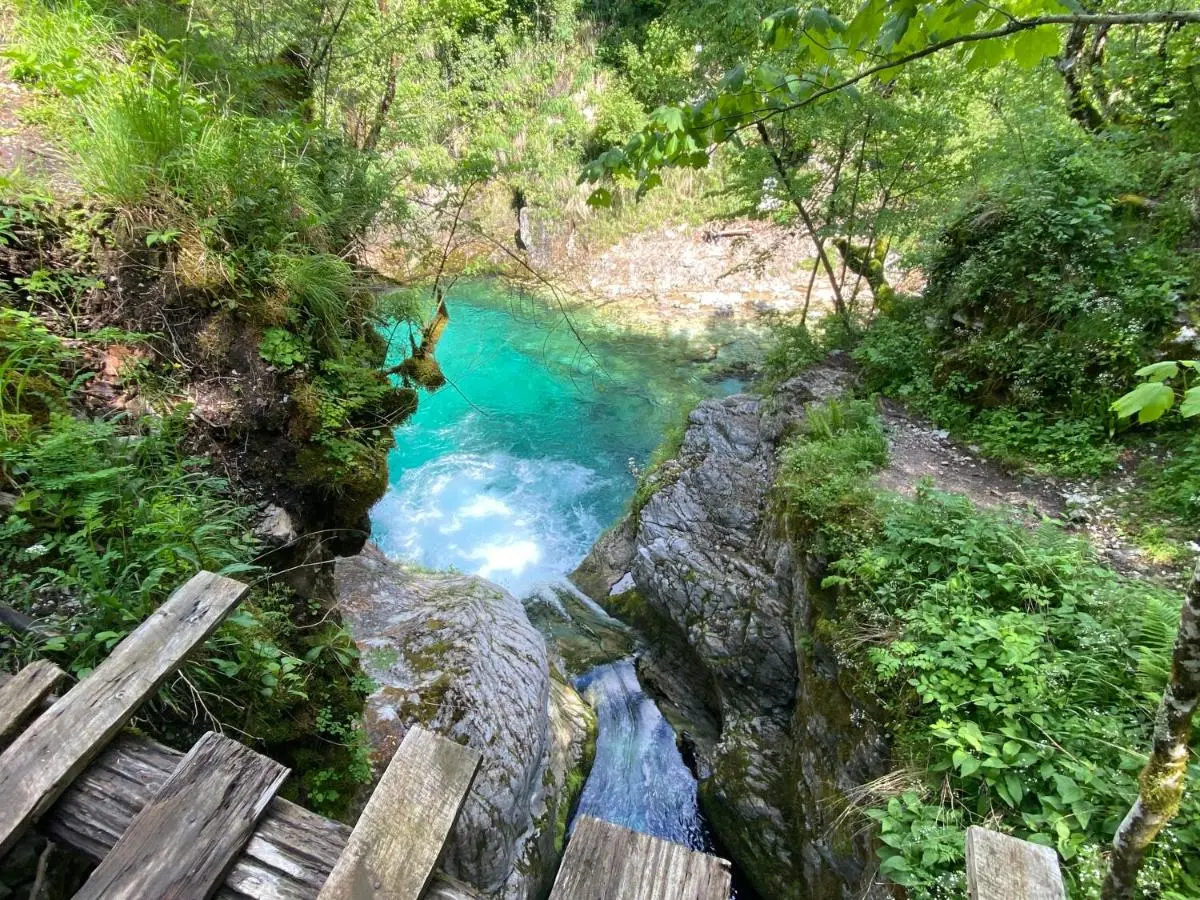 Roza's Guest House Camping Shkoder