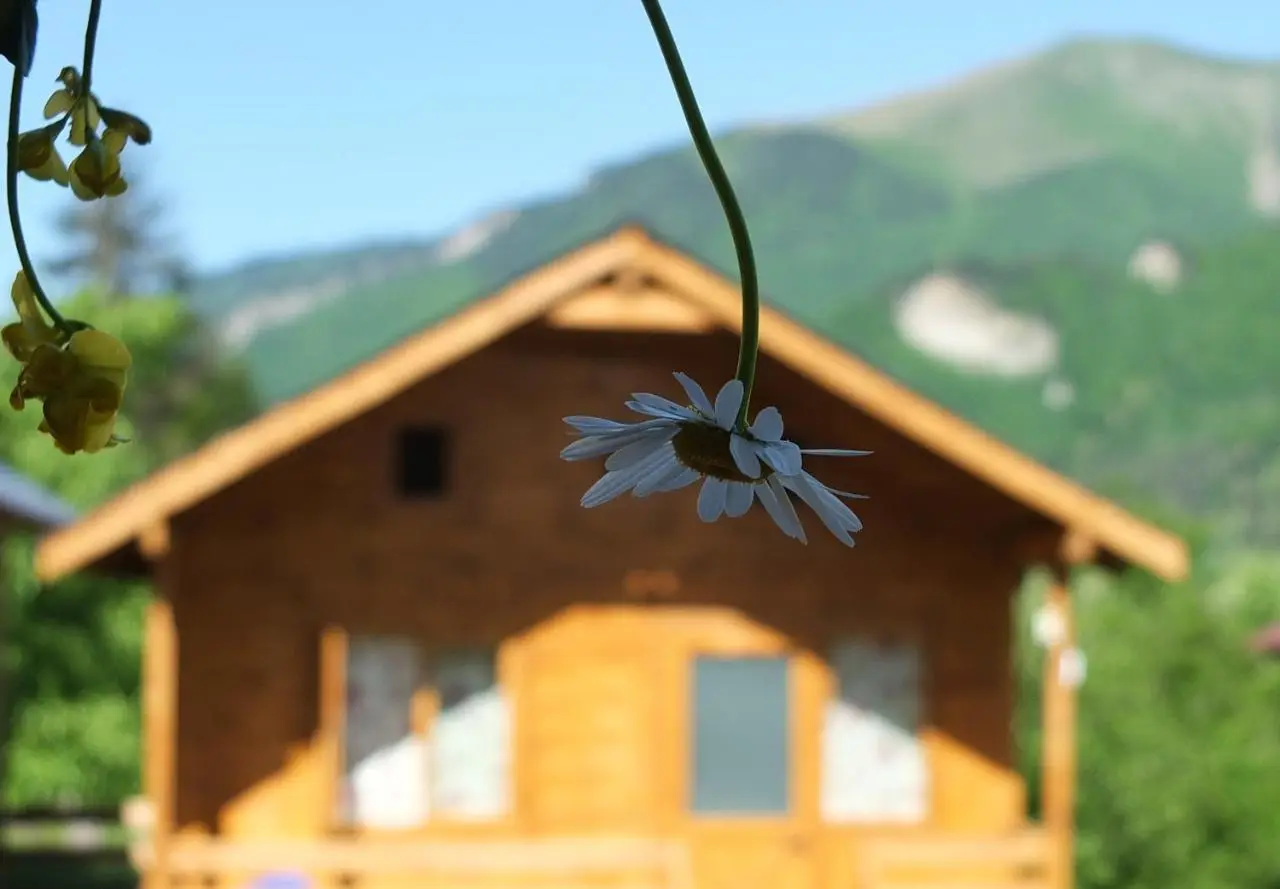 Mountain Cabins