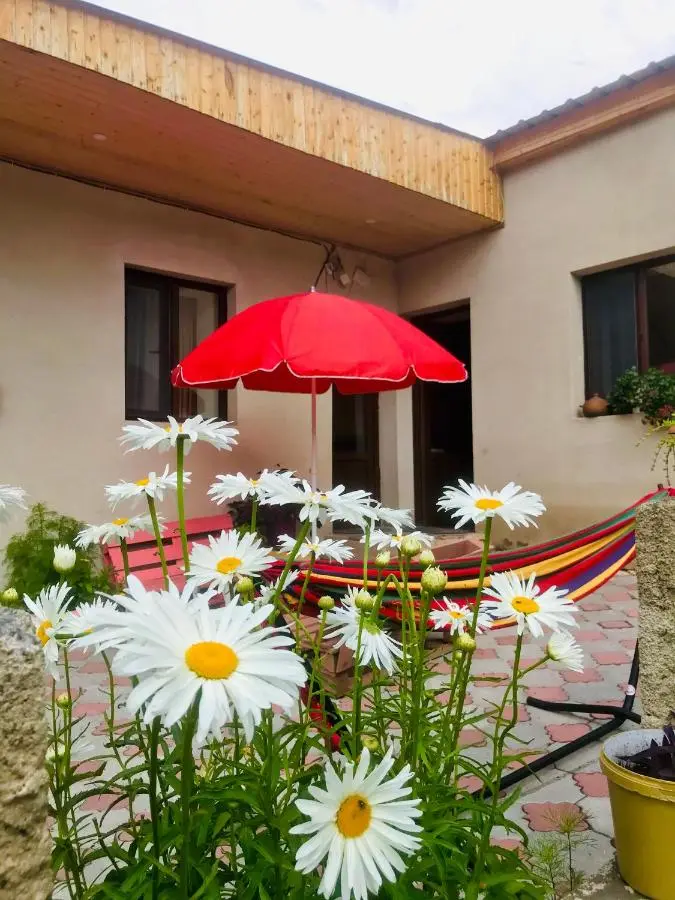 Guesthouse and Cottage Nicolo