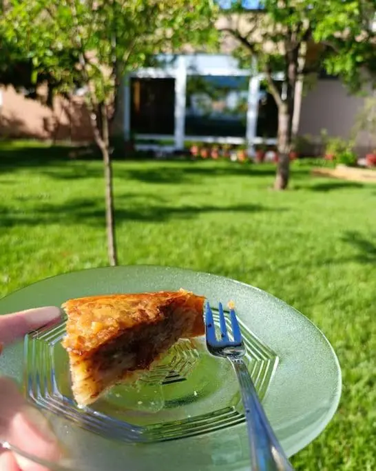 Villa Majida Ilidža