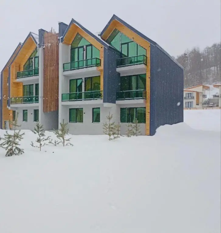 Snow Forest Bakuriani A17