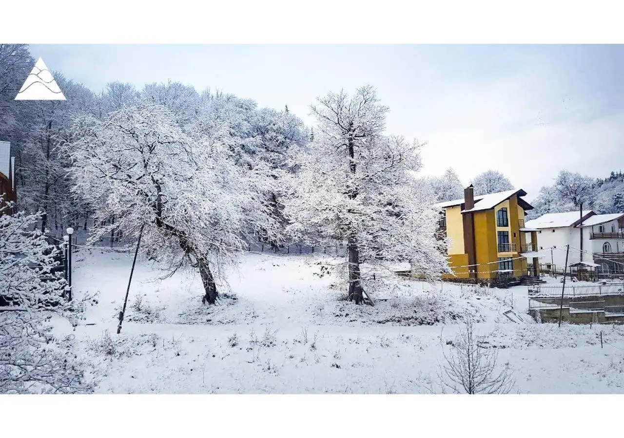 My House in Bakuriani