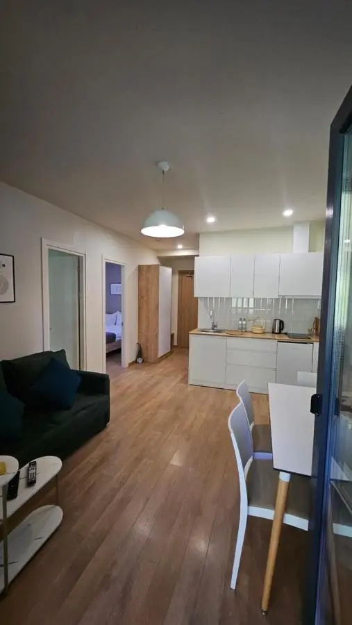 Arkhi Kokhta Bakuriani Apt 304