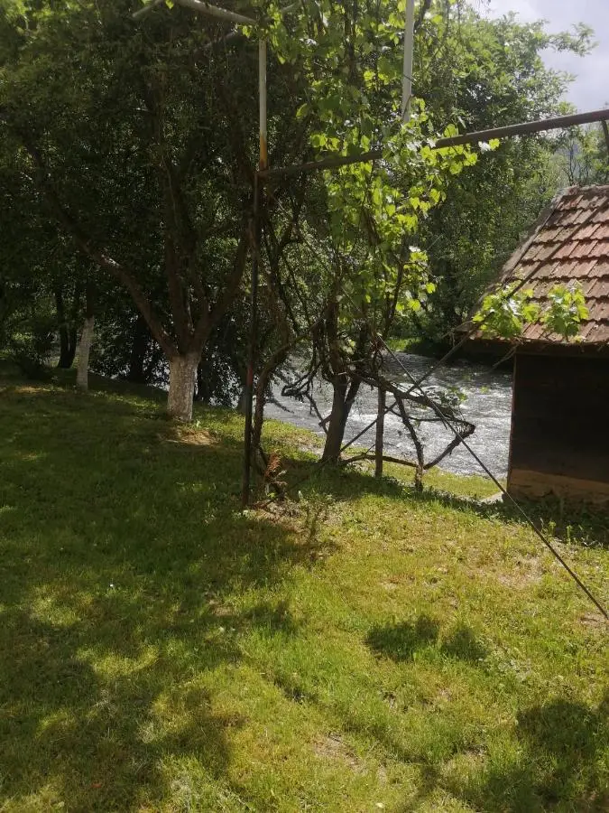 Studio by the river