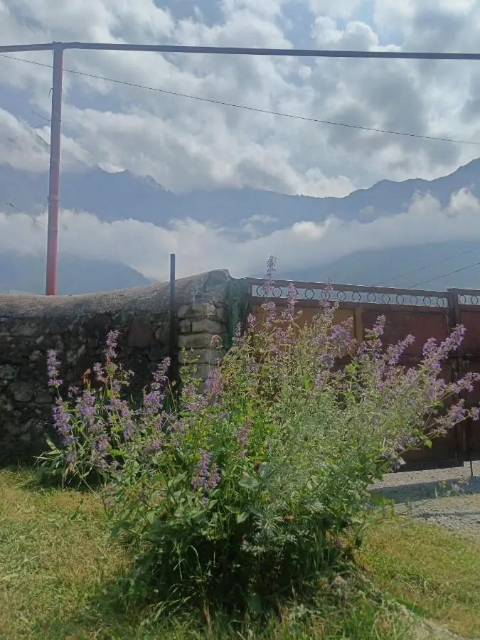Belas guesthouse