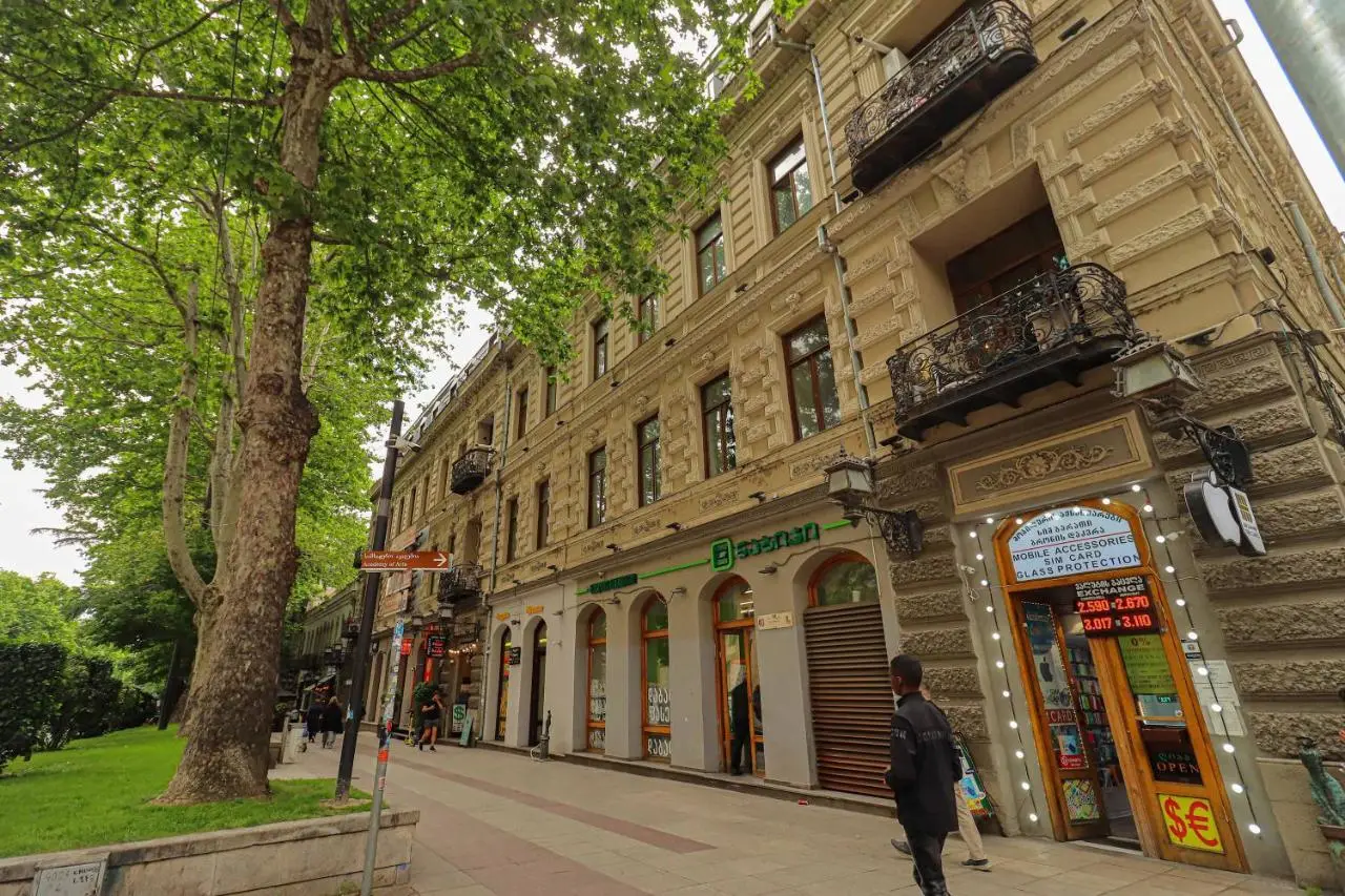 Stylish Apartment on Rustaveli Avenue