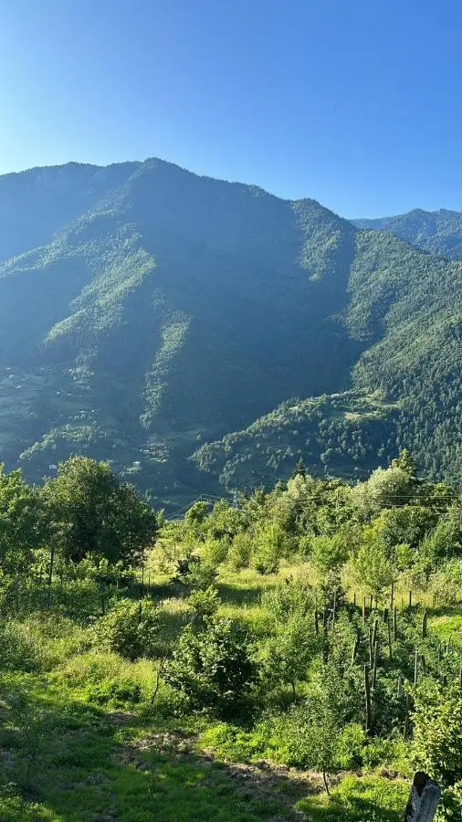 Paradise Keda
