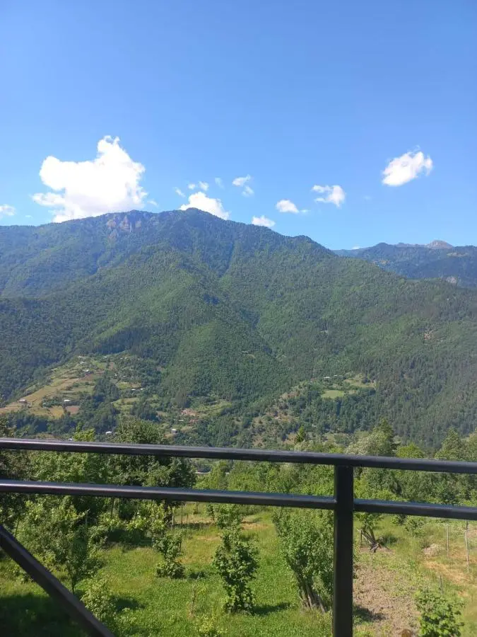 Paradise Keda