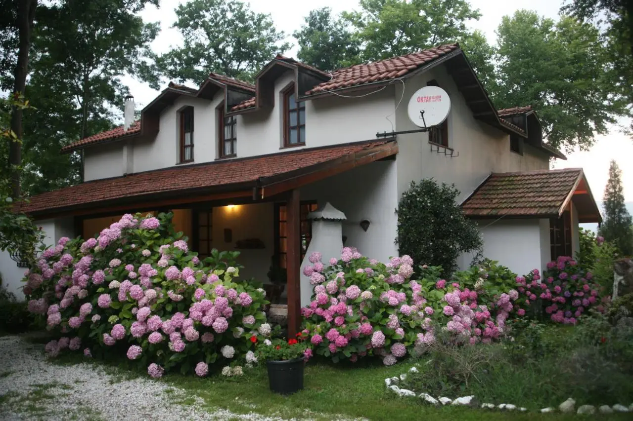Beta Home Sapanca