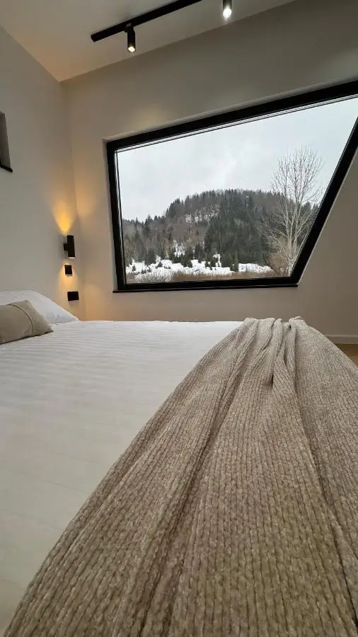 Bjelašnica Frame