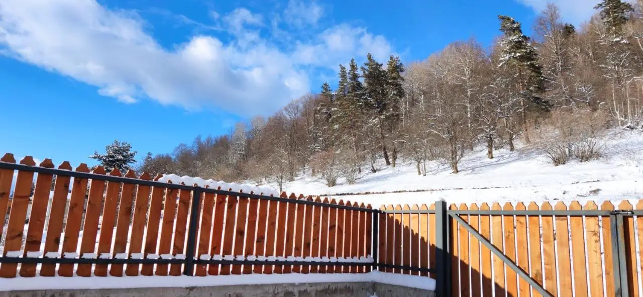 Villa Bayern in Bakuriani
