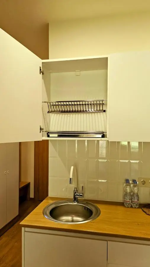 Arkhi Kokhta Bakuriani Apt 304