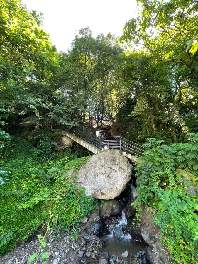 Hotel Biota