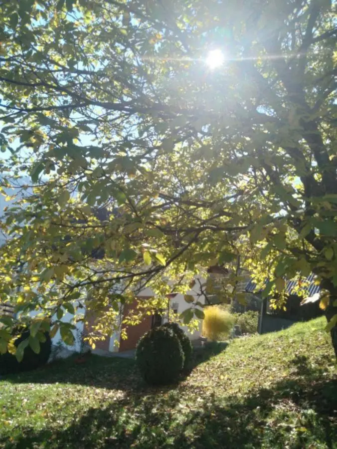 Planinska kuća ,,Furtula" Jahorina