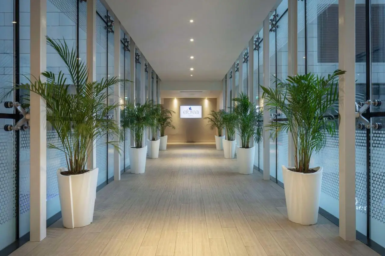 Hilton Batumi