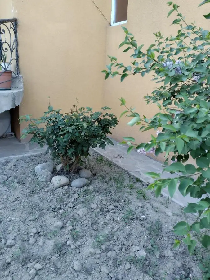 Eka,s hotel in ortachala
