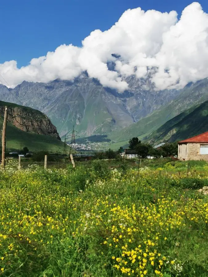 Kazbegi Mountain Cottage MTA-Shi