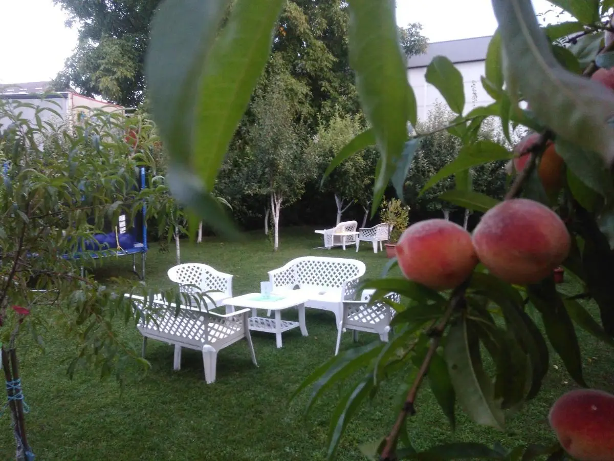 Apartmani Jasmina 2