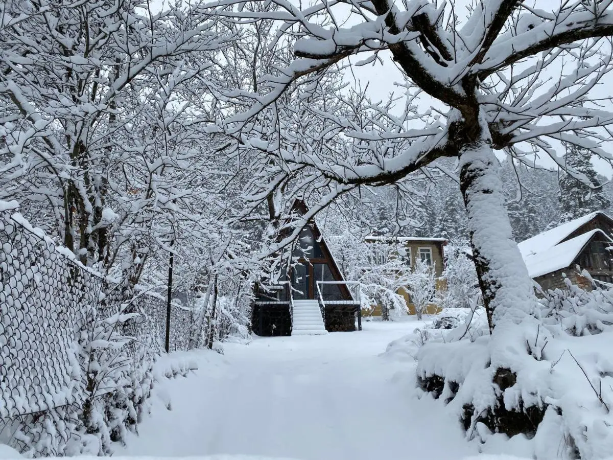 Wonderwood Borjomi Cottage
