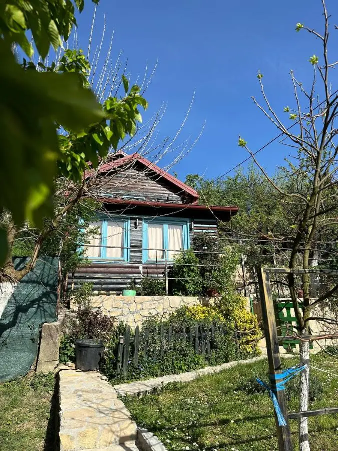 The Bungalows