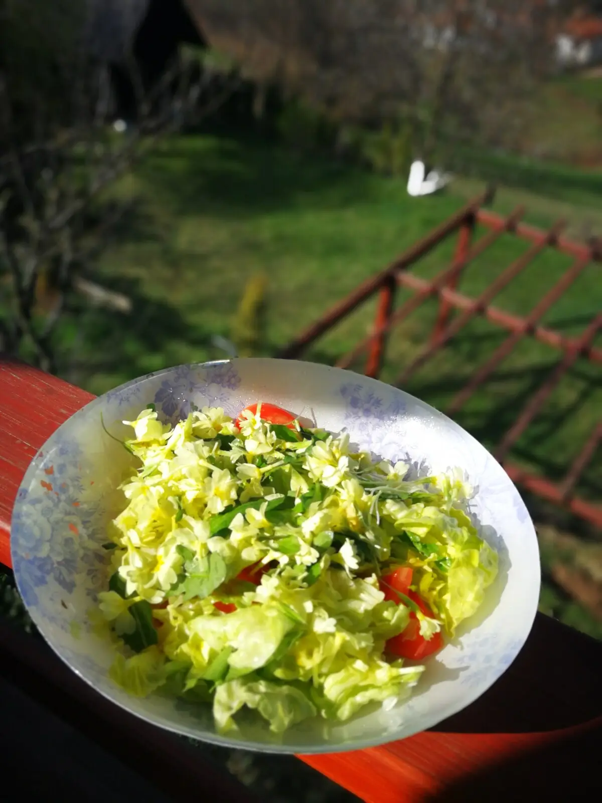 Green Idylle-PYramide View