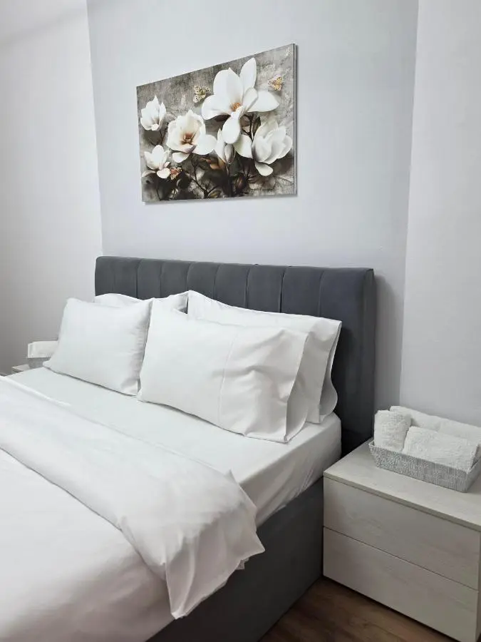 City Center Apartment