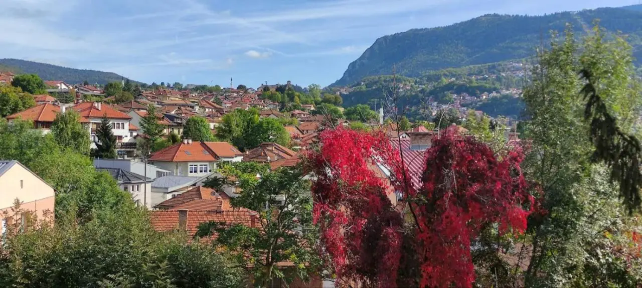 Vila Džan