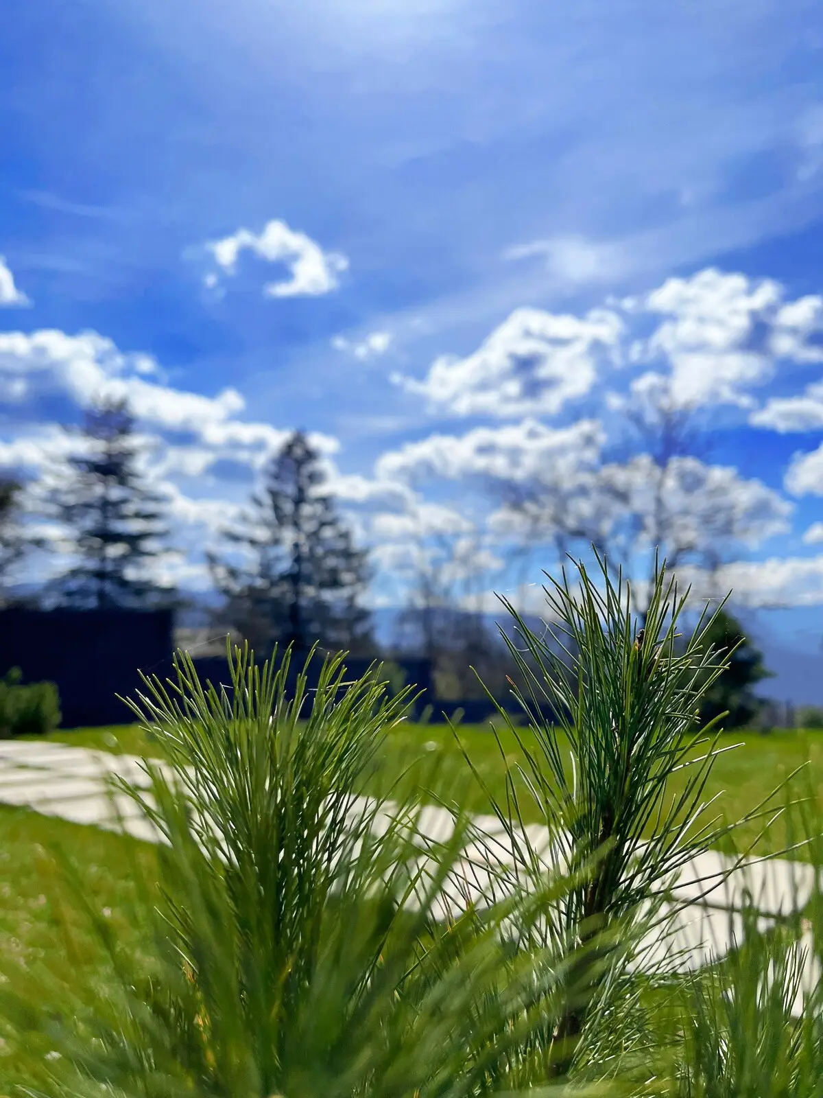 5 min from Sarajevo, Loon Moon Mountain Chalet