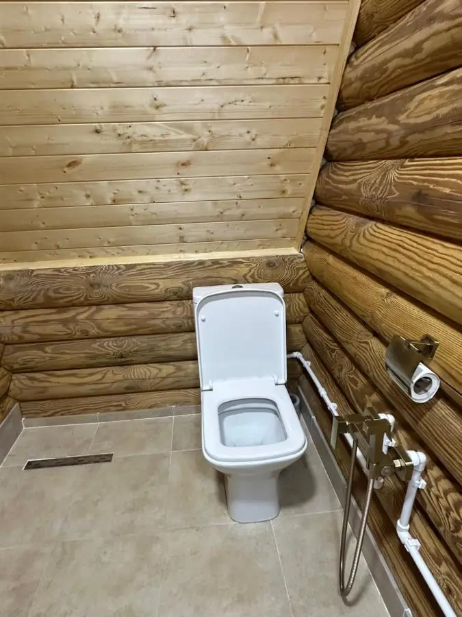 VIP-comfort BORJOMI
