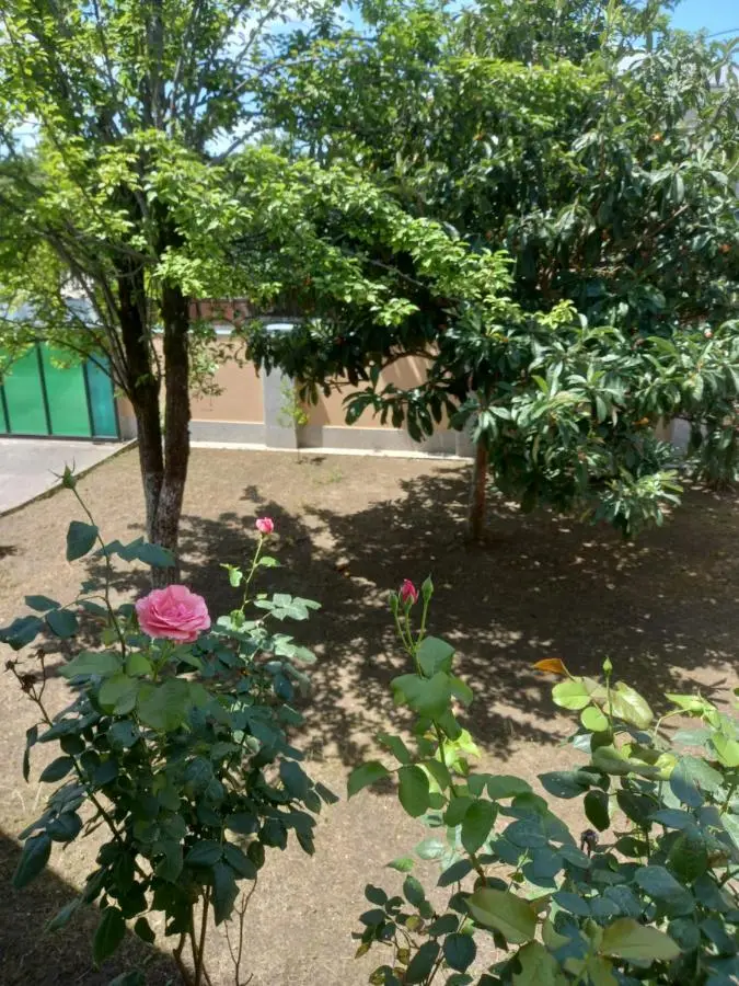 Tskaltubo Apartment Mirian Mepe