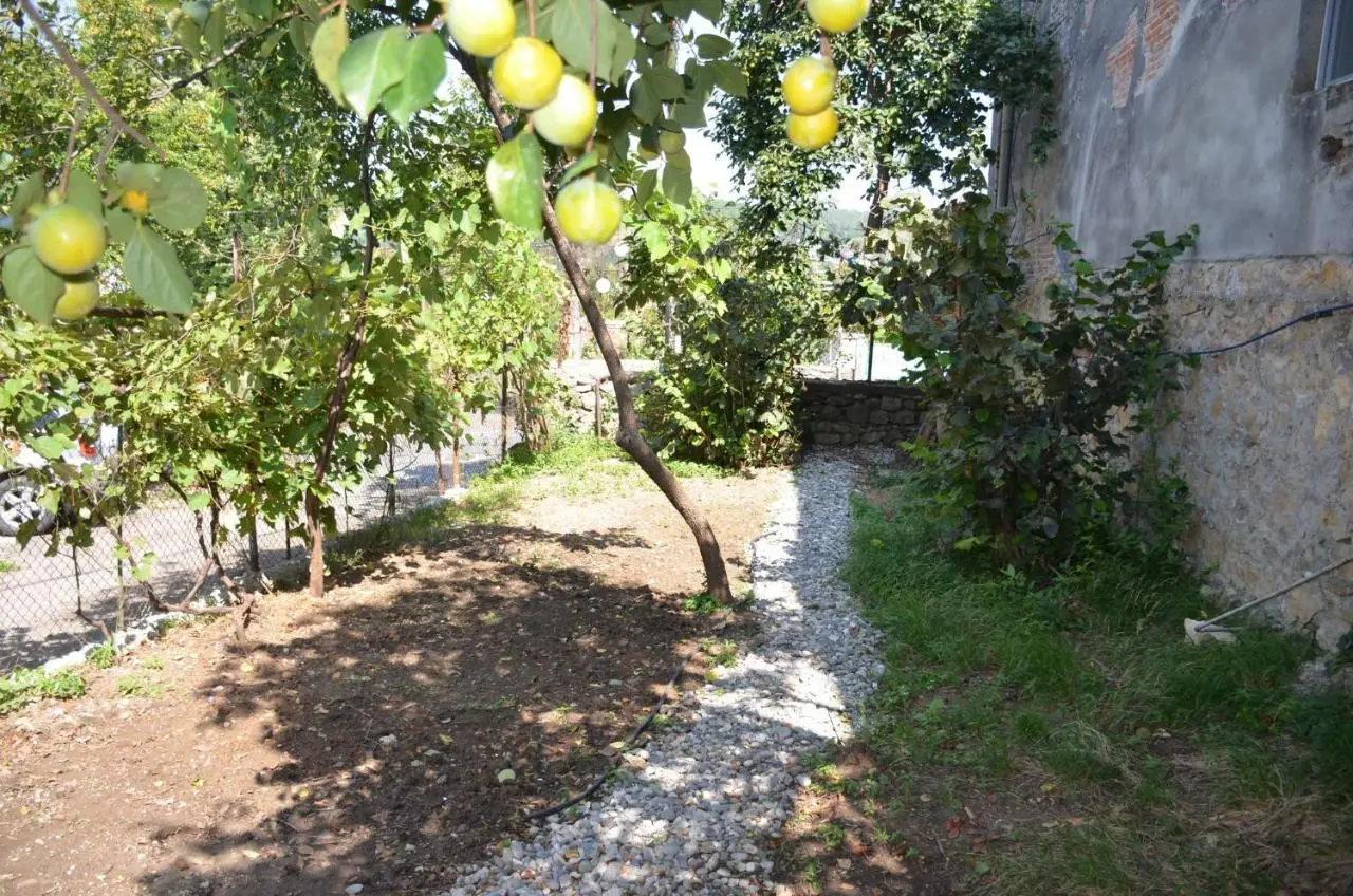 Terrace Center