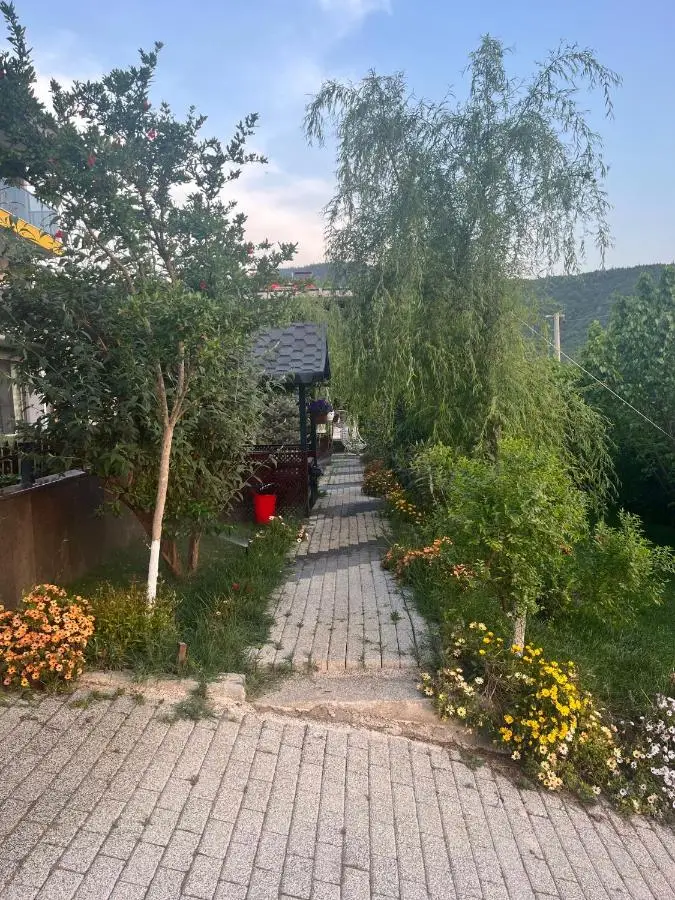 Golden Hour Apartment بورصة شقة مريحة Bursa Nilufer مَنْظَرٌ جَمِيلٌ
